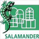 Salamander